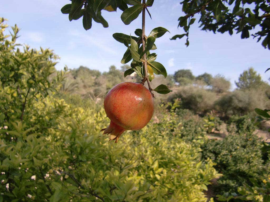 לןקמאג'ור Agroturisme Perola - Only Adults מראה חיצוני תמונה